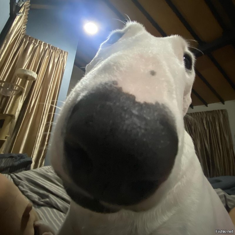 вы меня с кем-то попутали))))