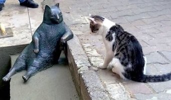 «Мяу» в металле: памятники настоящим и вымышленным котам и кошкам