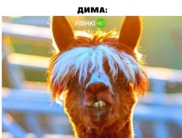 Этот должен позвонить?