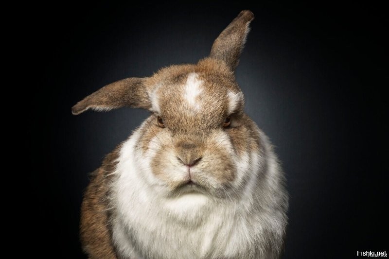 Солянка от 05.12.2022