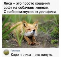 То есть кошки с собаками всё же скрещиваются, но воспитывать потомство могут только дельфины