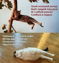 С котиками эта тема выразительнее =)