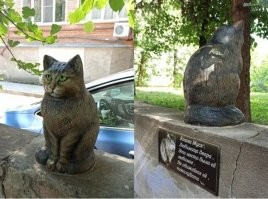 Кошка Муся.
Лыткарино, Московская область.