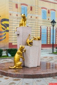 Слышал, что кошек в Эрмитаж привезли именно сибирских (причем от работников самого Эрмитажа), а вот что из Казани, не слышал.
Хотя может со всей страны собирали..

-Сквер кошек в Тюмени: