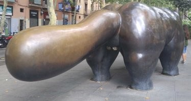 У барселонского котика самые натертые органы это усы и хвост.