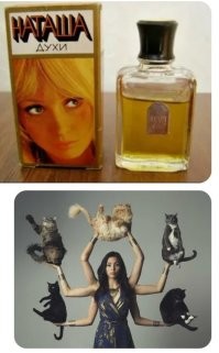 Продолжаем барражировать соцсети