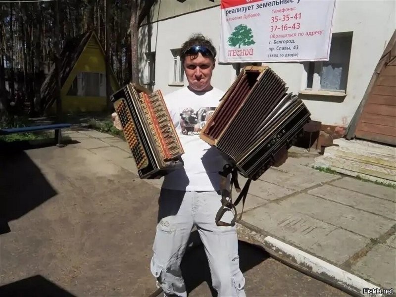 Баян наверное.