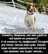 Смешные и познавательные картинки