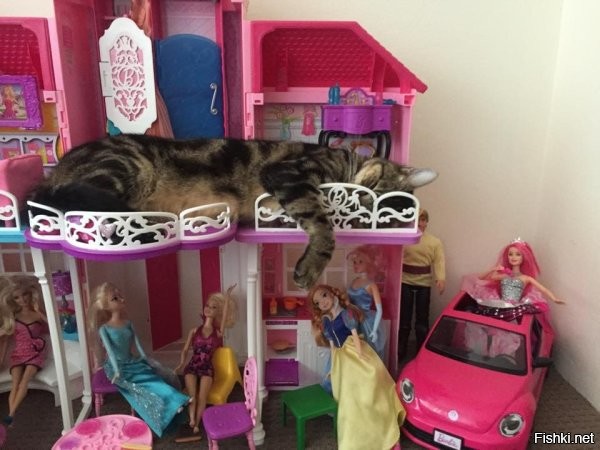 Солянка от 06.12.2022