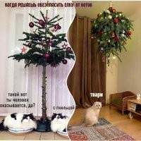 Йожика картинки. Выпуск 254