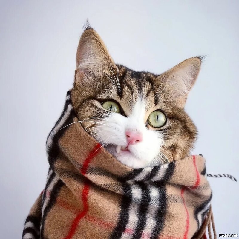 Доброе утро