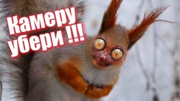 Очень даже магёт быть