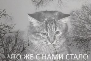 ВЕРНИТЕ ПИВО В 0.5 БАНКАХ! 

блин я каждый раз начинаю грустить когда пападаю в пивной магазин - там иногда продают пиво крафтовых пивоварен (мне оно не нравится но) у них банки старого образца 0.5 - и грустно становится от того когда они стоят рядом с заводскими где уже давно везде 0.45 - и я беру эти банки в руки и так "где же мы свернули не туда..."