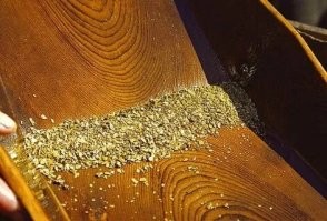 Братан, у меня для тебя три плохие новости. Первая: это не золотой песок, он выглядит не так. Вторая: это бронзовая пудра - пигмент, имитация под золото. Третья: прости, но ты тупой. Даже если ты никогда не видел золотого песка, можно легко догадаться что это не он по весу и просто потрогав пудру пальцами - весь измажешься. Надо было возле деда побольше времени проводить, глядишь и научился бы чему-нибудь. А так просто в интернет свою тупость выложил.