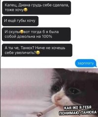 Скрины из соцсетей