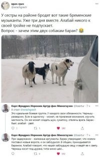 Настолько хорошо, что идеально