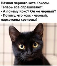 Йожика картинки. Выпуск 255