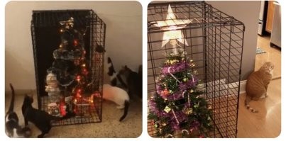 Йожика картинки. Выпуск 254