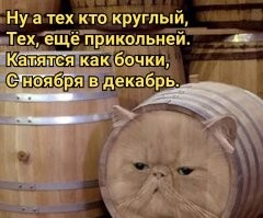 Йожика картинки. Выпуск 253