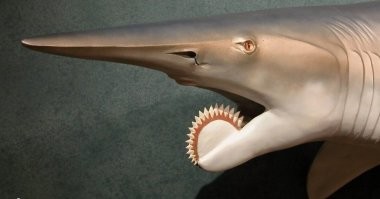 Болгарки нет, есть циркулярка.