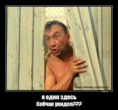 Фотоподборка
