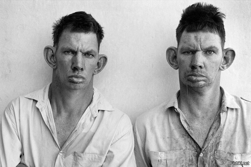 Солянка от 07.12.2022