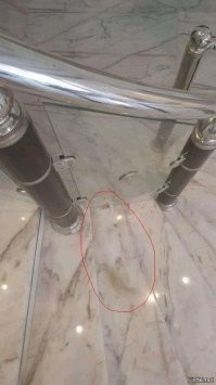 Мастера маскировки, которые могут запутать любого