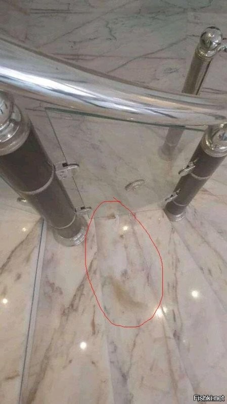 Мастера маскировки, которые могут запутать любого