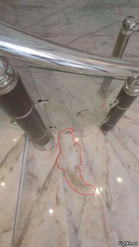 Мастера маскировки, которые могут запутать любого