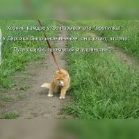 Не ищите здесь смысл. Здесь в основном маразм