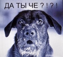 Не ищите здесь смысл. Здесь в основном маразм