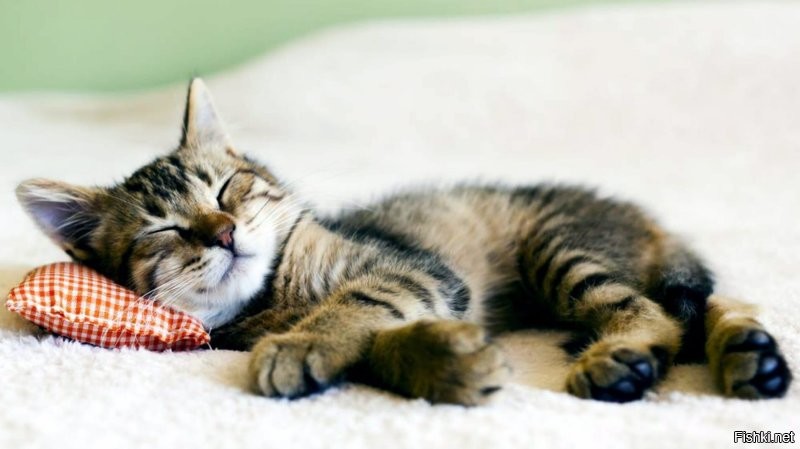 Солянка от 07.12.2022