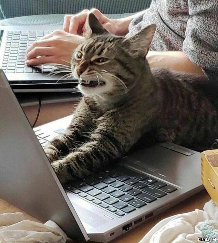 Доброе утро