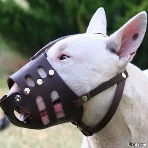 Наслаждайся!