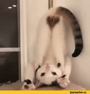 А на что ты рассчитывала-то?