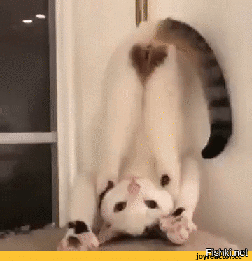 А на что ты рассчитывала-то?