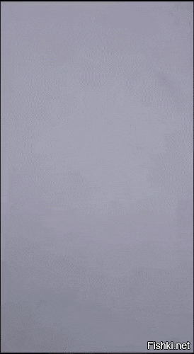 Солянка от 07.12.2022