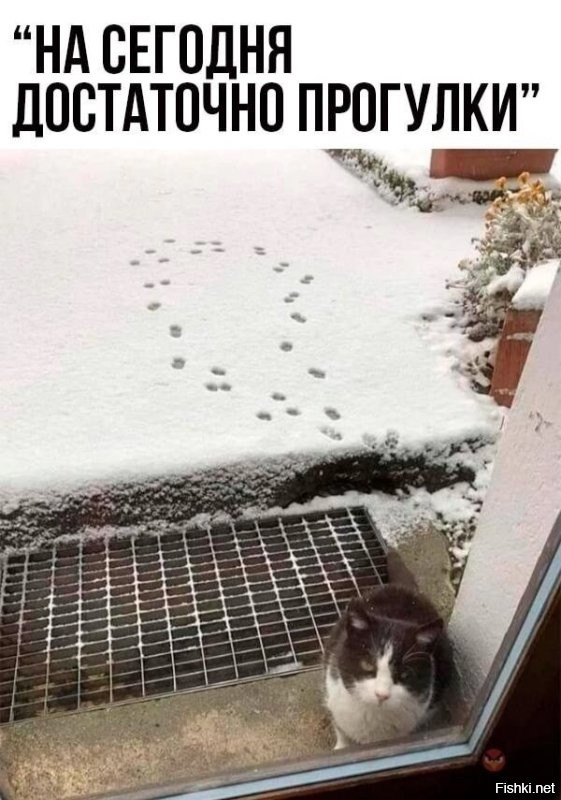 Солянка от 07.12.2022