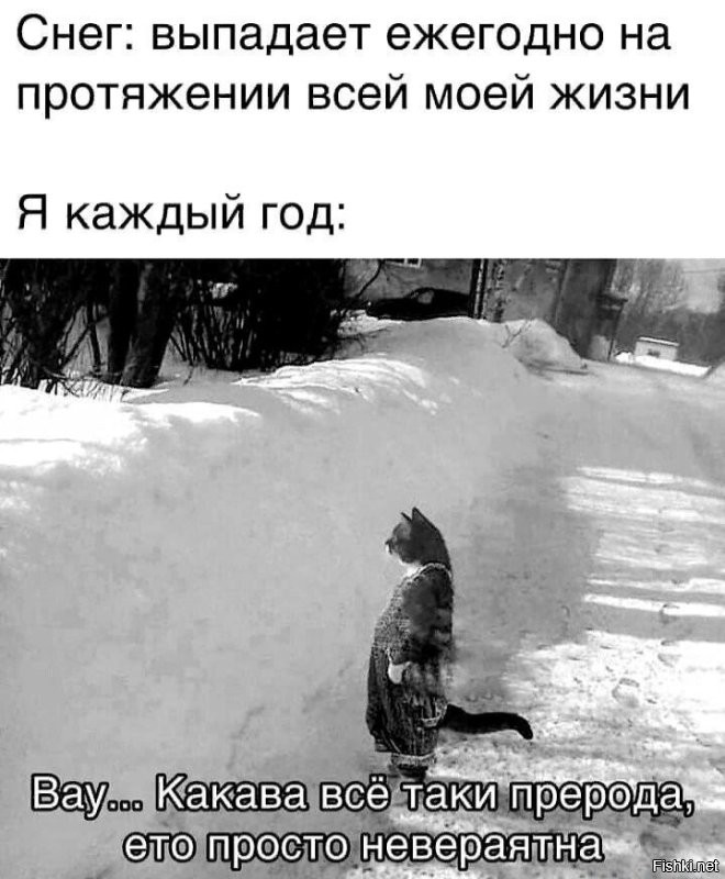 Солянка от 07.12.2022