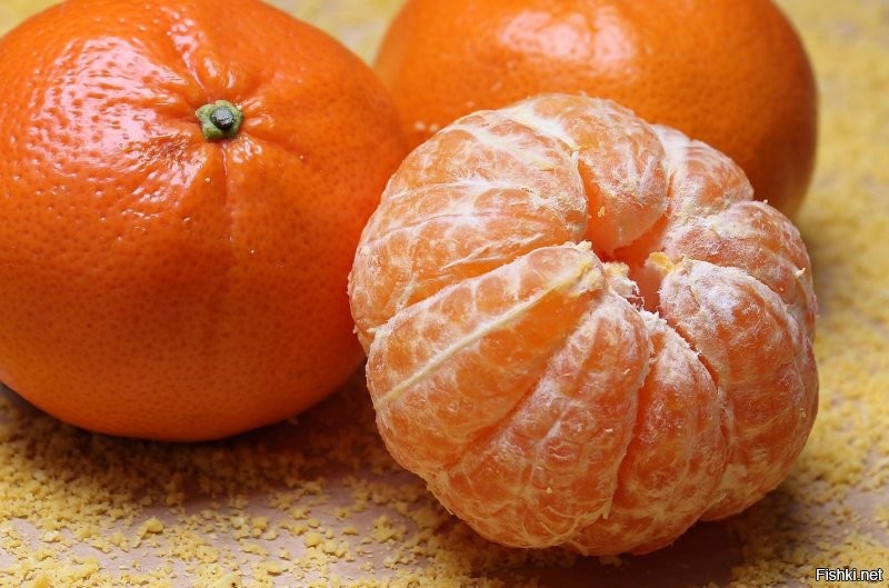 Солянка от 07.12.2022