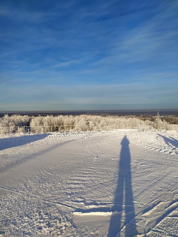 Солянка от 07.12.2022