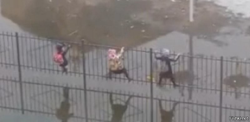 Солянка от 07.12.2022