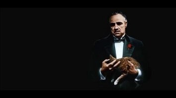 Этот еще милашка по сравнению с нашим.