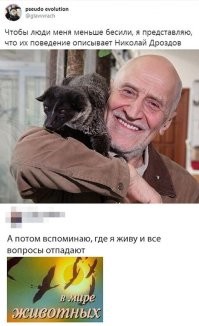В телевизоре все передачи про животных. И только в мире животных про зверей.