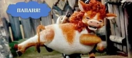 Заботливая кошка пригрела мышат