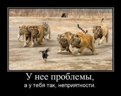 Ну во первых, хватит уже каждую неделю делать перепосты. А во вторых: