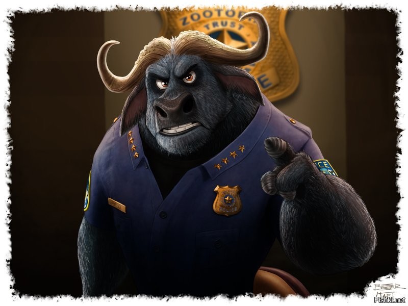 где страховка