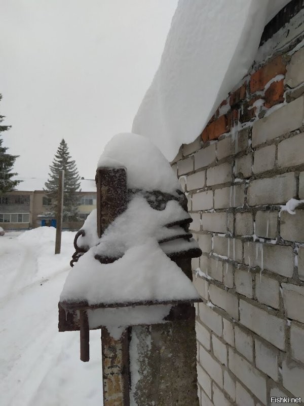 Солянка от 07.12.2022