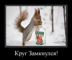 Добрые фото с белками, заряженные хорошим настроением