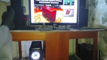 Моя птица круглый год в полёте :)
